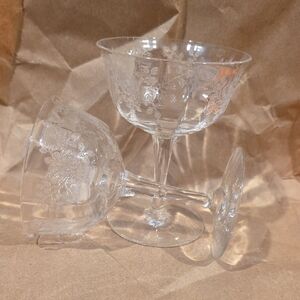 (J44) Floral Etched Glass Coupe Set